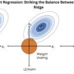 Elastic Net Regression: Striking the Balance Between Lasso and Ridge